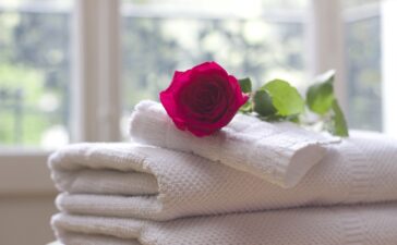 Vegane Hotels in Deutschland, ihrer Gesundheit zuliebe