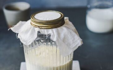 Kefir Ansatz
